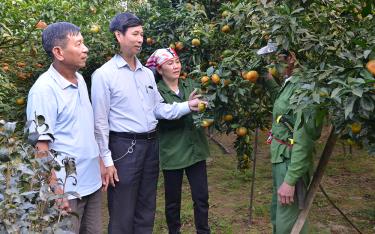 Lãnh đạo xã Thượng Bằng La, huyện Văn Chấn trao đổi với người dân về cách chăm sóc những diện tích cam chưa nhiễm bệnh.