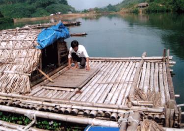 Mỗi thành viên của nhóm đảm nhiệm chăm sóc 2 lồng cá.
