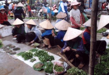 Sản phẩm ở đây là những mớ rau rừng được các bà, các mẹ hái từ nương đồi, ven suối nguồn xanh nõn.