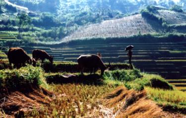 (Ảnh: Lê Bác Đạt)