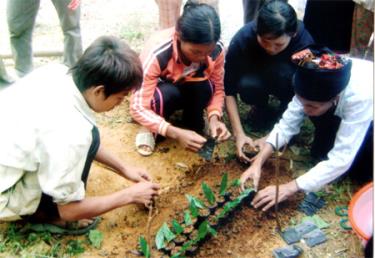 Huyện Văn Chấn thường xuyên quan tâm đào tạo nghề cho lao động nông thôn.