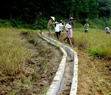 Cần triển khai các mô hình và các chính sách hỗ trợ sản xuất nông lâm nghiệp.