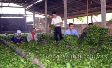 Ông Nguyễn Văn Tư (đứng) - Giám đốc Doanh nghiệp tư nhân Phú Thịnh kiểm tra hoạt động sản xuất của dây chuyền máy héo.
