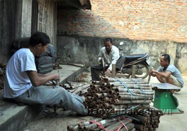 Người dân xã Xuân Ái (Văn Yên) sơ chế quế, nâng cao giá trị sản phẩm.
