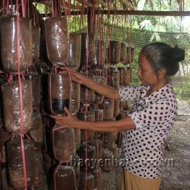 Nhờ nguồn vốn từ các chương trình, dự án giảm nghèo, nhiều hộ dân đã thoát nghèo bền vững.
