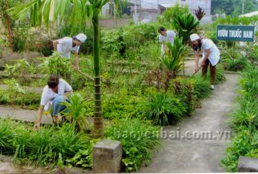 Đẩy mạnh chăm sóc sức khỏe nhân dân bằng Đông y là nhiệm vụ đặc biệt quan trọng trong xây dựng chuẩn quốc gia về y tế xã.
Trong ảnh: Cán bộ Trạm Y tế phường Đồng Tâm (thành phố Yên Bái) chăm sóc vườn thuốc nam.
