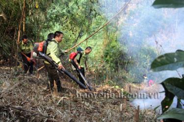 Diễn tập phòng cháy, chữa cháy rừng tại xã Minh Quán, huyện Trấn Yên.
