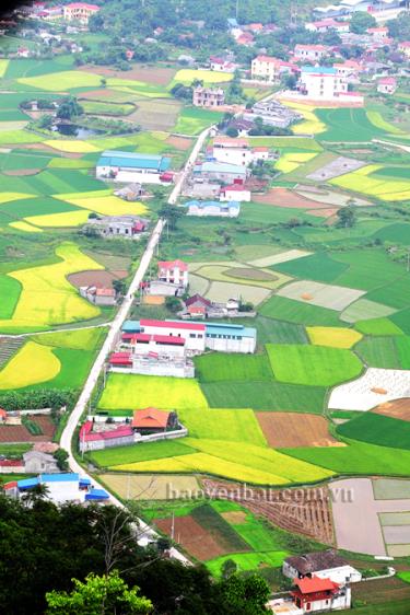 Cánh đồng lúa của huyện Bắc Sơn, tỉnh Lạng Sơn.
(Ảnh: Thanh Miền)
