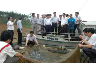 Mô hình nuôi cá ngạnh trên hồ Thác Bà mang lại hiệu quả kinh tế cao.
