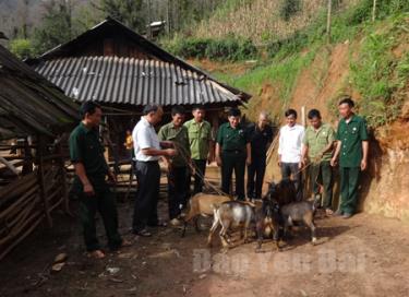 Hội viên CCB huyện Mù Cang Chải tham quan mô hình nuôi dê ở xã Mồ Dề.