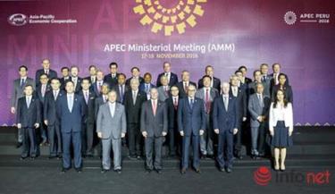 Các Bộ trưởng Ngoại giao - Kinh tế của 21 thành viên APEC chụp ảnh chung.