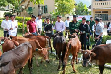 Lãnh đạo tỉnh Yên Bái cùng lãnh đạo Viettel Chi nhánh Yên Bái trao tặng bò giống cho các hộ nghèo tại huyện Mù Cang Chải.