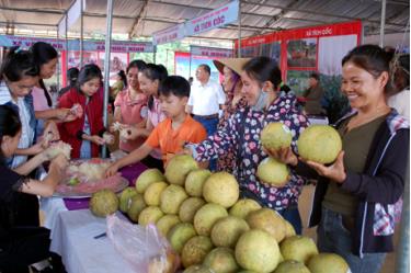 Sản phẩm bưởi đặc sản Đại Minh có 15 gian trưng bày tại Hội chợ quê.