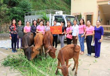 Đại diện Câu lạc bộ Nữ doanh nhân, lãnh đạo Hội Liên hiệp phụ nữ tỉnh  trao tặng bò giống cho các hội viên phụ nữ xã Ngọc Chấn, huyện Yên Bình