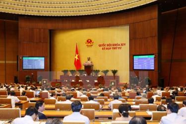 Đại biểu Quốc hội thông qua toàn văn Luật Bảo vệ và phát triển rừng (sửa đổi).