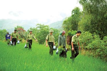 Cán bộ, chiến sỹ ngành kiểm lâm Yên Bái cùng nhân dân trồng rừng vụ xuân.