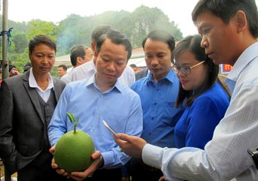 Đồng chí Đỗ  Đức Duy - Phó Bí thư Tỉnh ủy, Chủ tịch UBND tỉnh Yên Bái thăm gian hàng trưng bày sản phẩm nông nghiệp tại xã Hát Lót, huyện Mai Sơn.