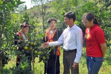 Lãnh đạo xã Tân Phượng trao đổi với nhân dân về kỹ thuật trồng, chăm sóc cam Vinh.