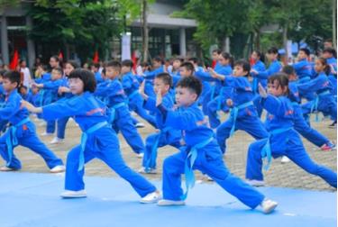 Màn biểu diễn Vovinam của học sinh Trường Tiểu học FPT.