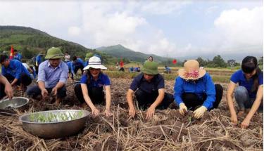 Hoạt động “Ngày thứ 7 cùng dân” được cán bộ xã Nghĩa Sơn tổ chức thực hiện nhằm tuyên truyền, vận động nhân dân mở rộng diện tích trồng cây vụ 3.