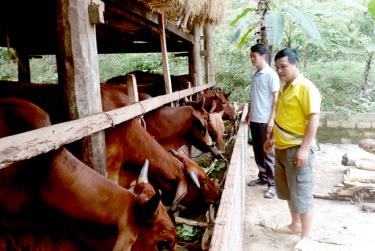 Từ đồng vốn tín dụng chính sách, nhiều hộ gia đình ở Trấn Yên đã vươn lên thoát nghèo.