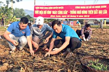 Công đoàn cơ sở Cơ quan chính quyền huyện Lục Yên cùng xã Minh Xuân tổ chức hỗ trợ nhân dân trồng ngô đông trên đất 2 vụ lúa tại thôn Kiên Cố.