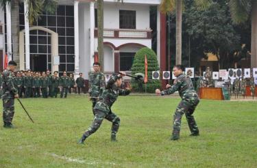 Chiến sỹ lực lượng vũ trang tỉnh biểu diễn võ thuật tại Lễ ra quân huấn luyện năm 2019.