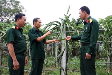 Hội viên CCB thôn Linh Đức chia sẻ kinh nghiệm trồng các loại cây ăn quả với lãnh đạo Hội CCB huyện Trấn Yên.