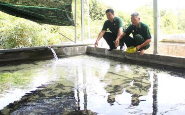 Cựu chiến binh Trần Cao Thắng (bên phải) chia sẻ kinh nghiệm nuôi cá tầm với lãnh đạo Hội CCB xã Việt Hồng.