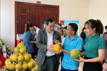 Các đại biểu tham quan gian hàng trưng bày sản phẩm bưởi và trao đổi kinh nghiệm sản xuất tại diễn đàn.