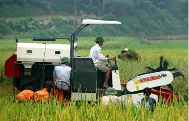 Nông dân Yên Bái cơ giới hóa trên đồng ruộng