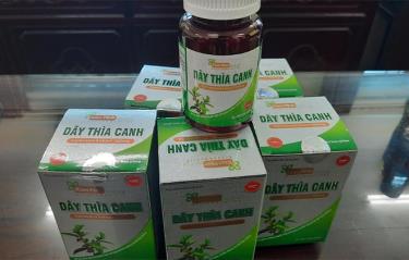 Sản phẩm Dây thìa canh.