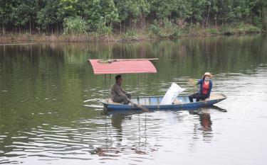 Vợ chồng anh Đặng Văn Sơn cho cá ăn.