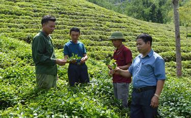 Bí thư Chi bộ thôn Rẹ 2 Nguyễn Văn Tiệm (thứ 2 bên phải) trao đổi với lãnh đạo xã và người dân về phát triển diện tích chè kinh doanh.