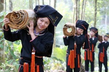 Sản phẩm quế vỏ được người trồng chuẩn bị đưa đi tiêu thụ