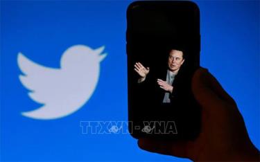 Hình ảnh tỷ phú Elon Musk trên màn hình điện thoại và biểu tượng Twitter trên màn hình máy tính tại Washington, DC, Mỹ.