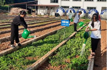 Học sinh Trường phổ thông DTNT THPT tỉnh Yên Bái chăm sóc vườn rau, tạo nguồn thực phẩm phục vụ cho bữa ăn nội trú.
