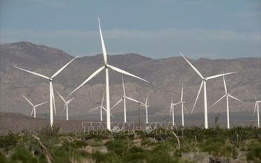 Các tua-bin sản sinh điện gió hoạt động tại California, Mỹ.