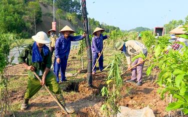 Công nhân Công ty cổ phần Môi trường và Công trình đô thị Yên Bái chăm sóc cây xanh trên tuyến đường Âu Cơ, thành phố Yên Bái