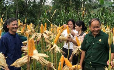 Ông Hoàng Trung Cấp (bên trái) chia sẻ kinh nghiệm sản xuất với người dân trong thôn.