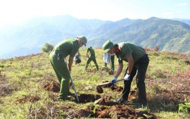 Cán bộ chiến sỹ Công an huyện giúp nhân dân cuốc hố chuẩn bị trồng cây dẻ Trùng Khánh. (Nguồn: yenbai.gov.vn)