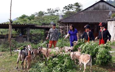 Đồng chí Hà Thị Đóa - Phó Chủ tịch Hội Liên hiệp Phụ nữ tỉnh 
kiểm tra mô hình nuôi dê mang lại hiệu quả kinh tế của phụ nữ xã Nậm Búng, huyện Văn Chấn.