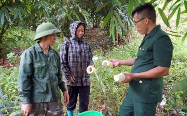 Mr. Sung A De shares techniques for planting and harvesting his family’s Bat Do bamboo shoots.