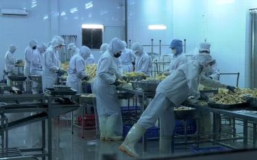 Workers processing Bat Do bamboo shoots at Yamazaki Co., Ltd., in Hung Khanh Commune, Tran Yen District.