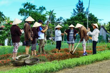 Du khách quốc tế tham quan, trải nghiệm trồng rau cùng nông dân tại làng rau Trà Quế.