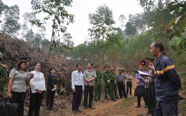 Cục Thi hành án dân sự tỉnh đọc Quyết định cưỡng chế.