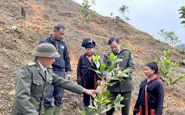 Cán bộ kiểm lâm Yên Bái tuyên truyền, hỗ trợ người dân cấp mã số vùng trồng rừng.