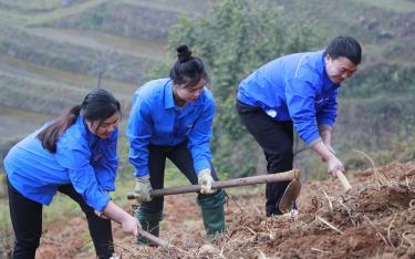 Đoàn viên thanh niên huyện Mù Cang Chải giúp dân làm đường giao thông nông thôn tại bản Háng Cháng Lừ, xã Khao Mang. Ảnh minh họa