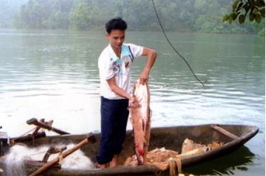 Hoàng Văn Chiếm đánh bắt cá trên vùng hồ của mình.