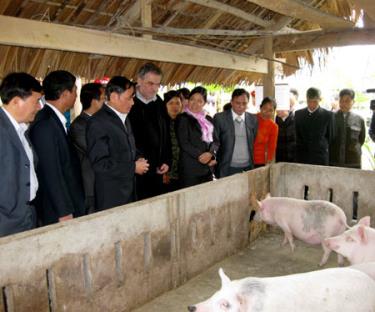 Đoàn Val de Marne cùng lãnh đạo tỉnh Yên Bái thăm mô hình chăn nuôi lợn tại huyện Lục Yên